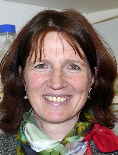 Heike