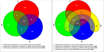 Venn diagrams