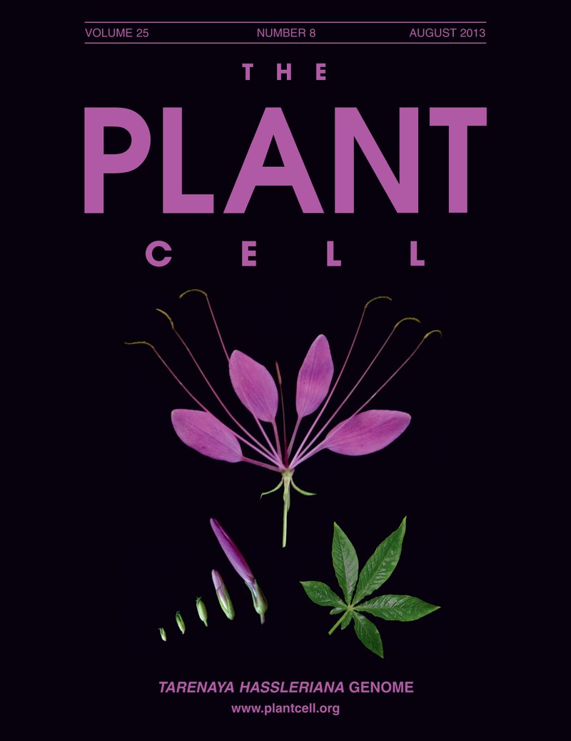 Plant Cell Cover