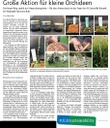 Orchideenartikel_uniforum-2023-02.jpg