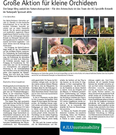Orchideenartikel_uniforum-2023-02.jpg