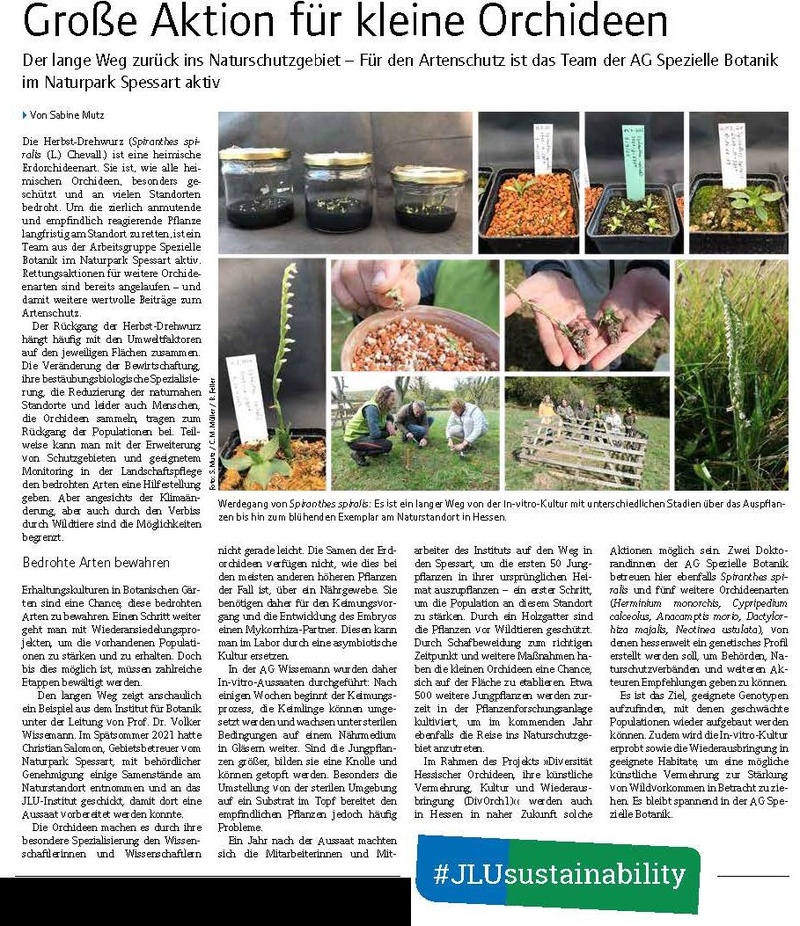Orchideenartikel_uniforum-2023-02.jpg