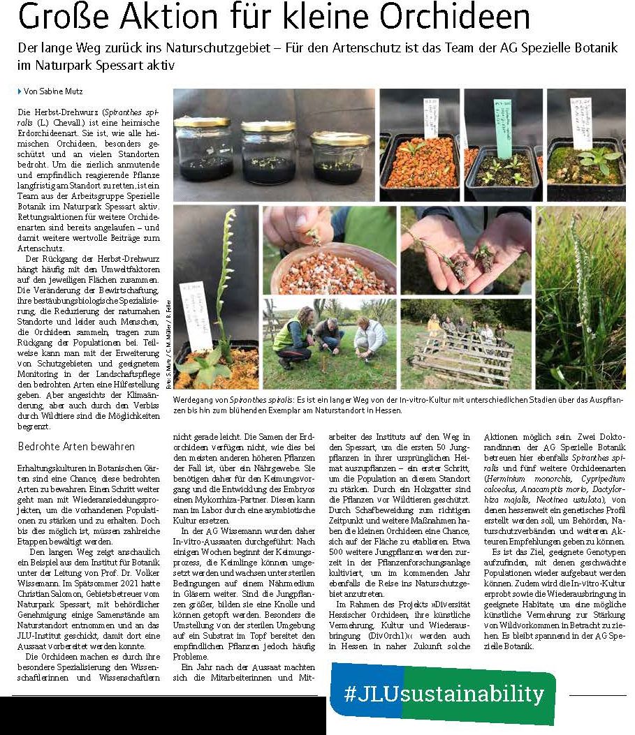 Orchideenartikel_uniforum-2023-02.jpg