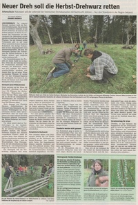 Zeitungsartikel _Herbst-Drehwurz2023.jpg