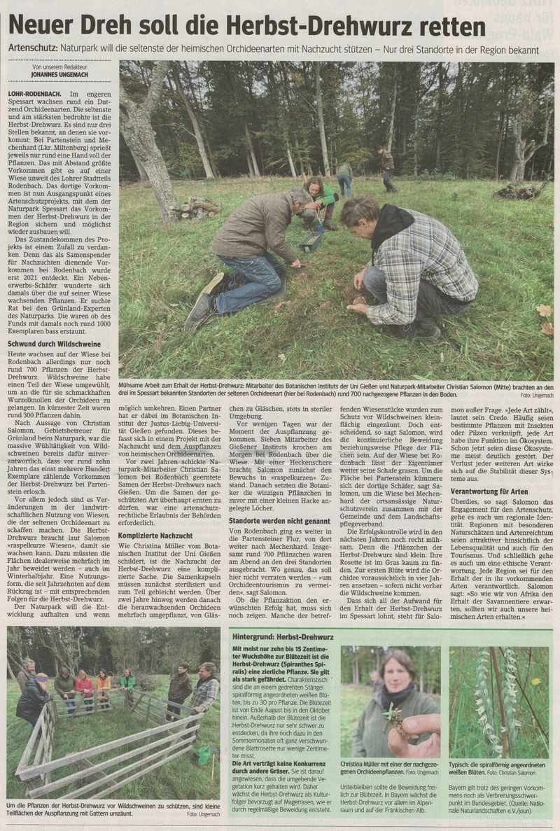 Zeitungsartikel _Herbst-Drehwurz2023.jpg