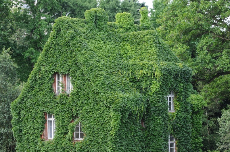 Verwaltungsgebäude Botanischer Garten