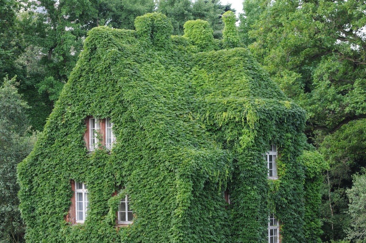 Verwaltungsgebäude Botanischer Garten