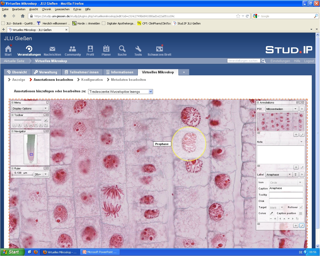 Prophase Screenshot