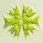 Phykologie Schnetter