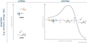 ira_Fig4_klein