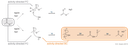 ira_Fig6_gross