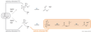 ira_Fig6_klein