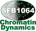Logo Chromatin Dynamics