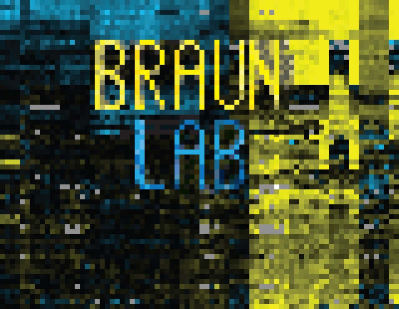 Bild Logo