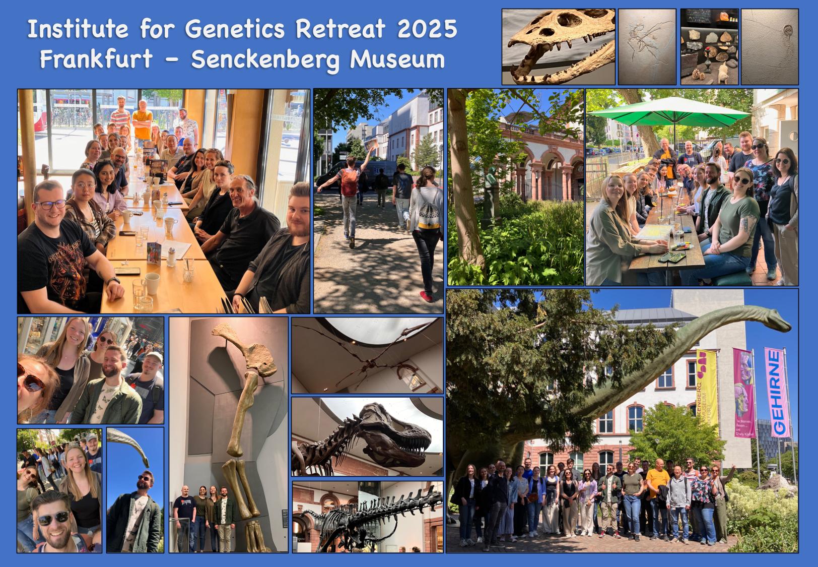 Institute Retreat 2025.jpg