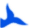Flosse