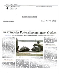 Wal Bericht 1