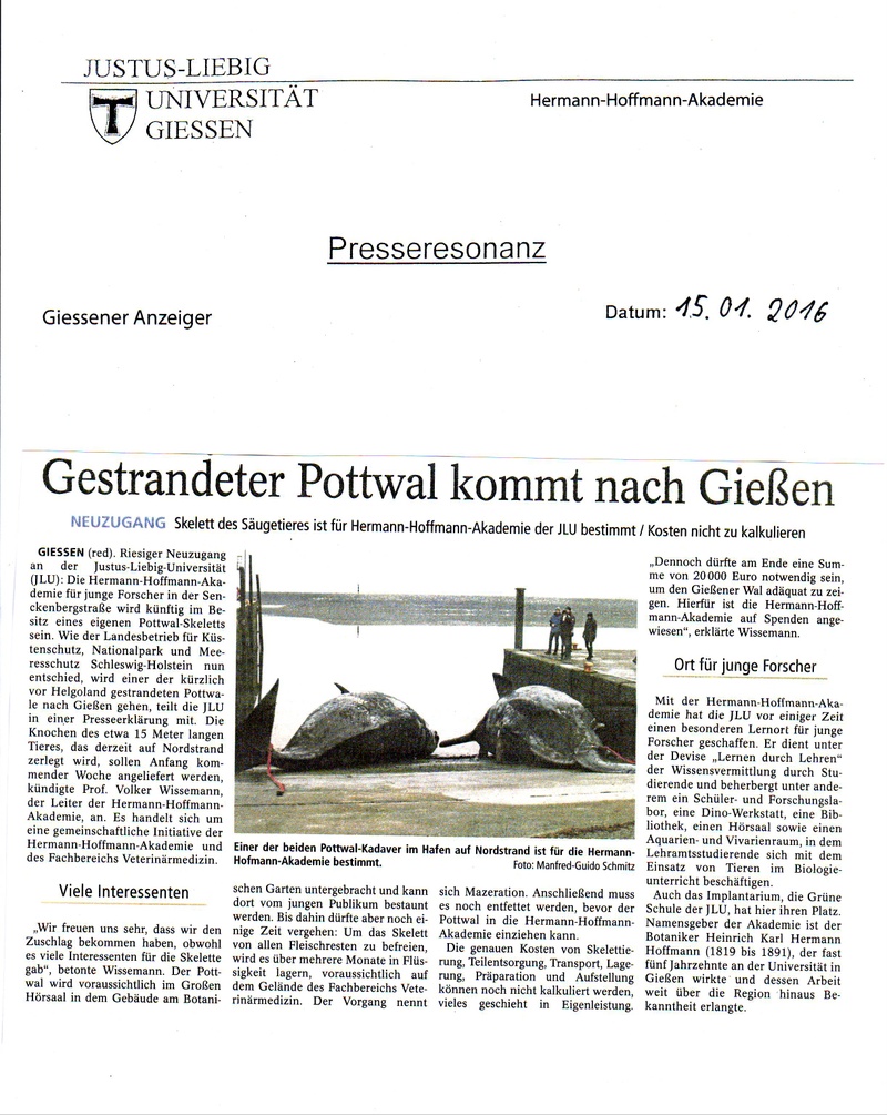 Wal Bericht 1