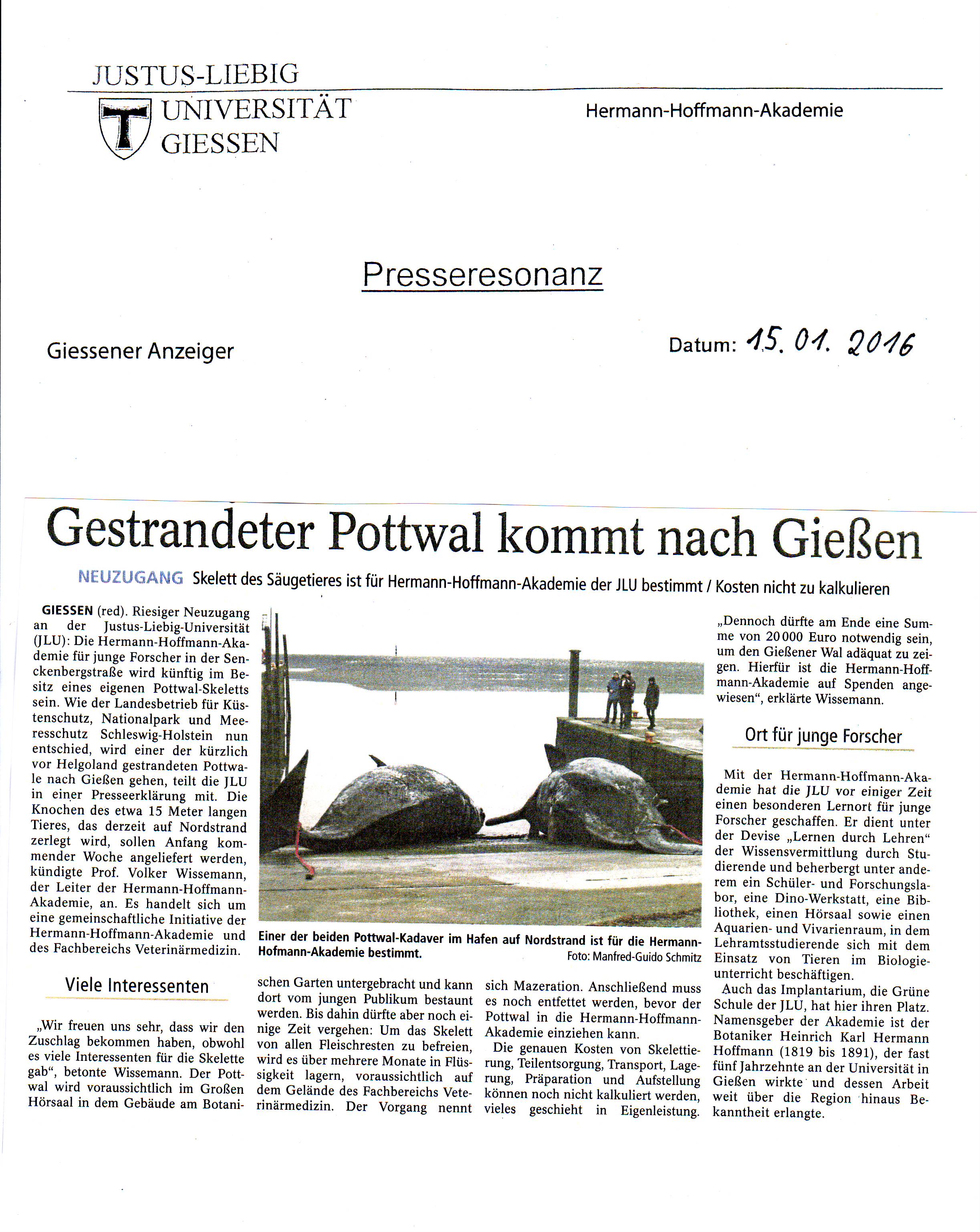 Wal Bericht 1