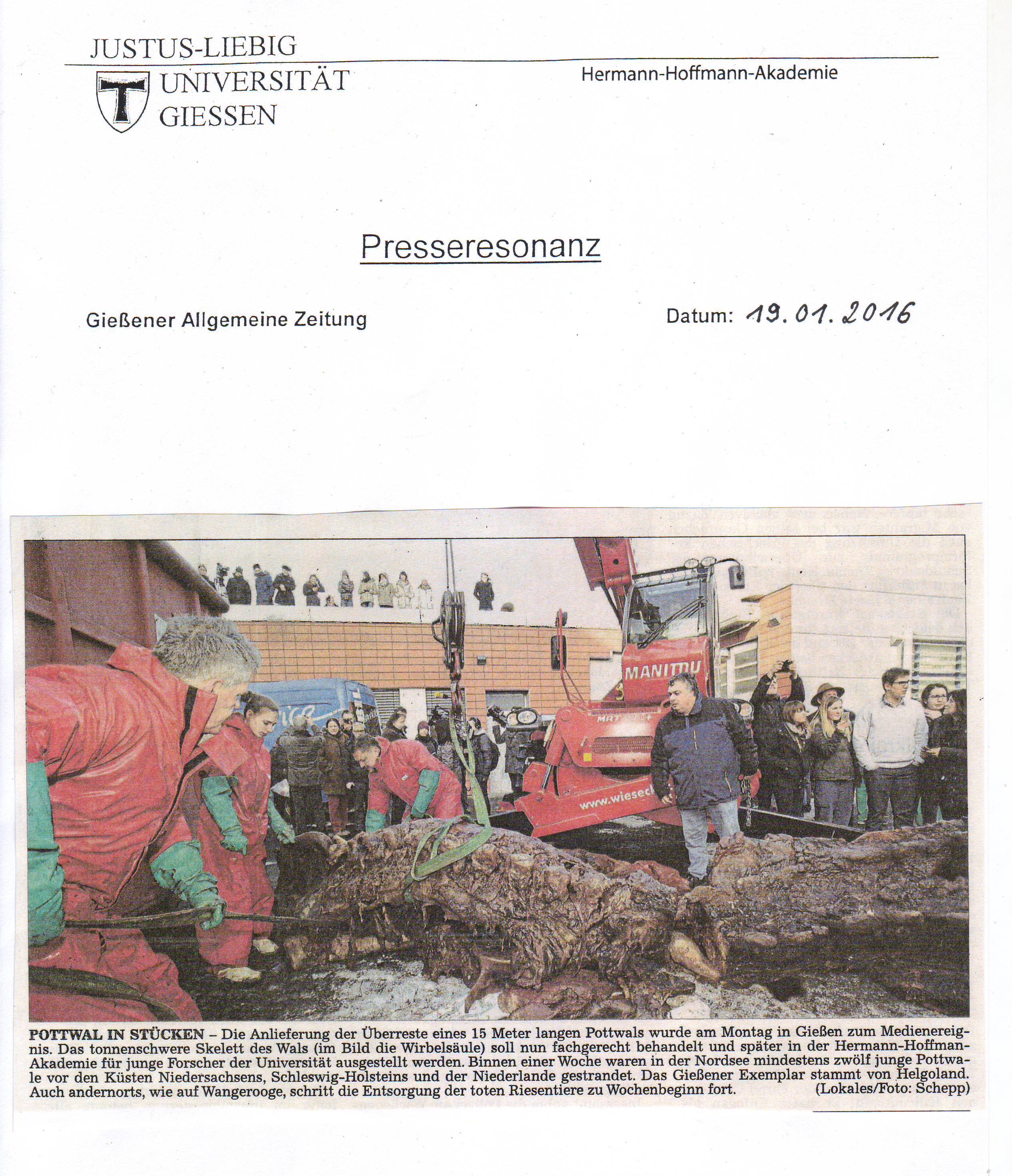 Wal Bericht 2