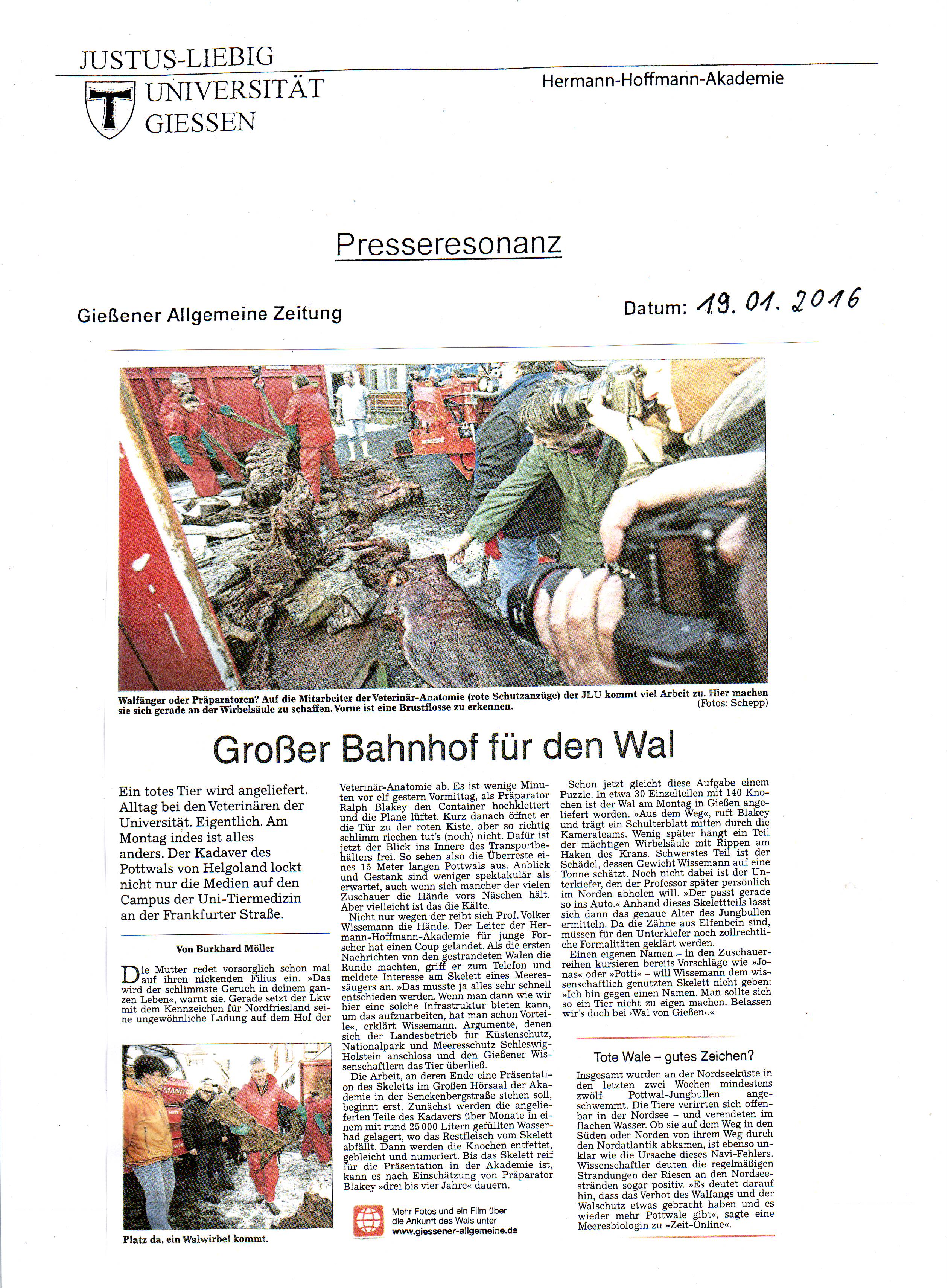 Wal Bericht 3
