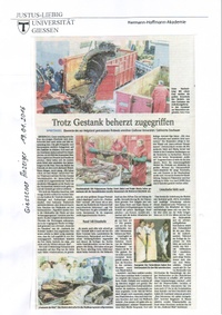 Wal Bericht 4