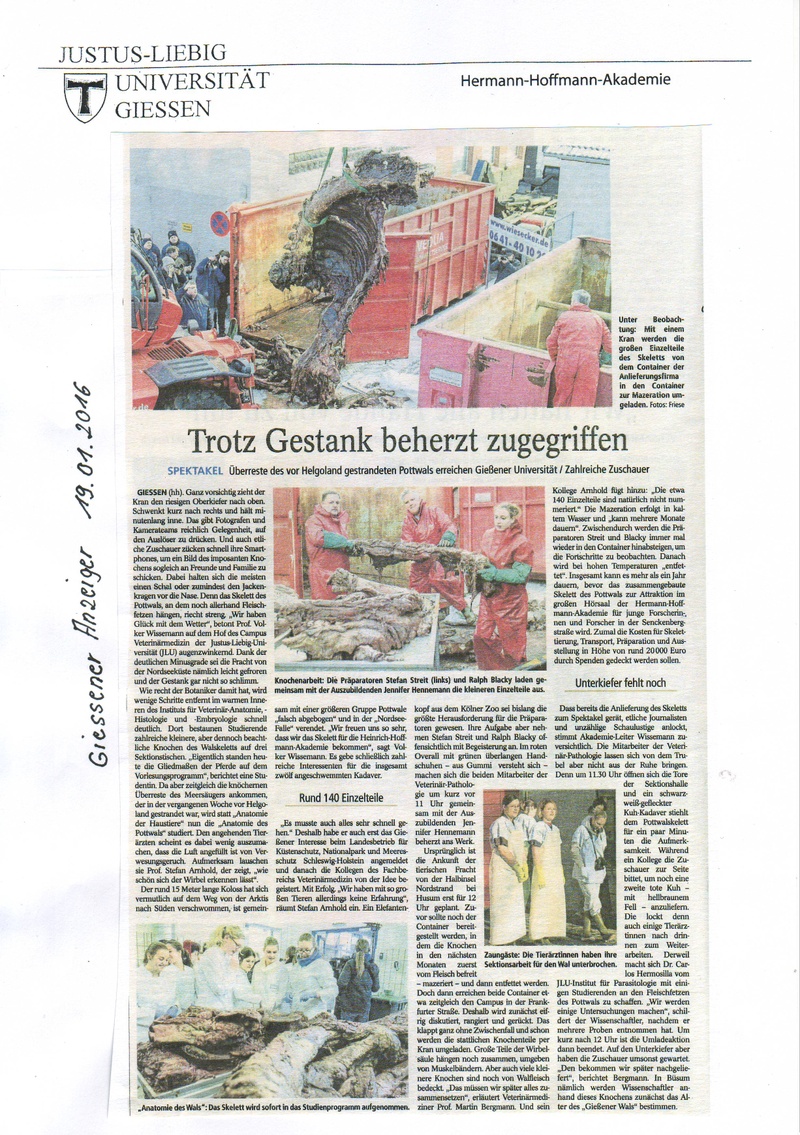 Wal Bericht 4