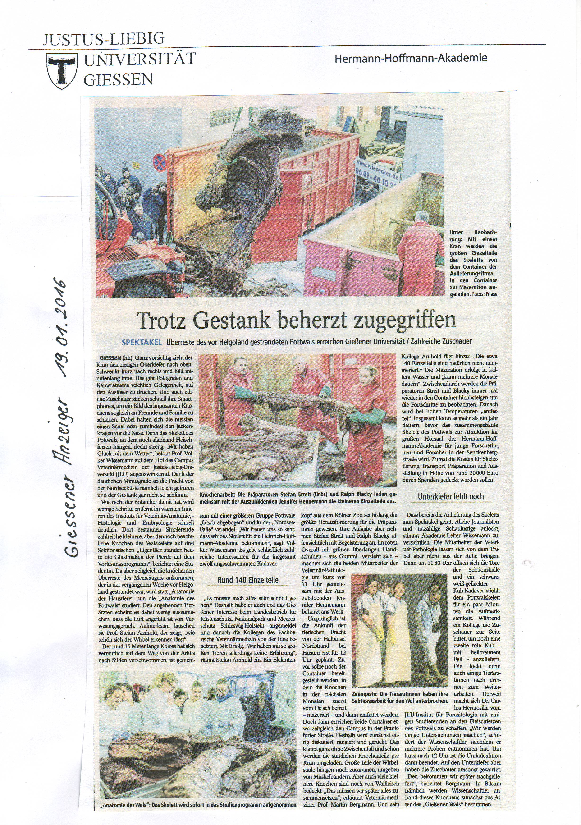 Wal Bericht 4