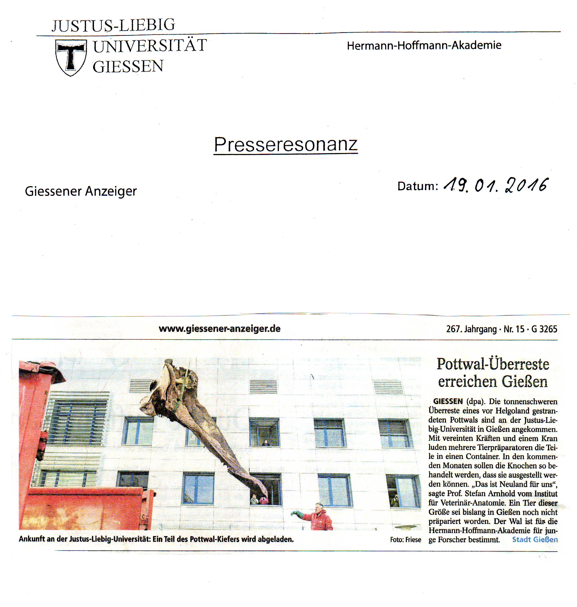 Wal Bericht 5