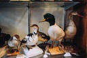 HH-Akademie_Sammlung_FotoFriese_69.jpg