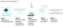 ReverseCoPrecipitation-Schema
