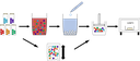 Synthese
