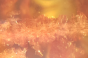 Synthese_Teaser.png