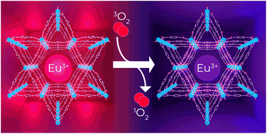 Graphical_Abstract_!.gif