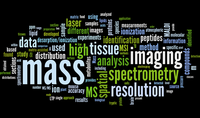 Wordcloud2011-2020