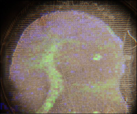 IRLDI.png
