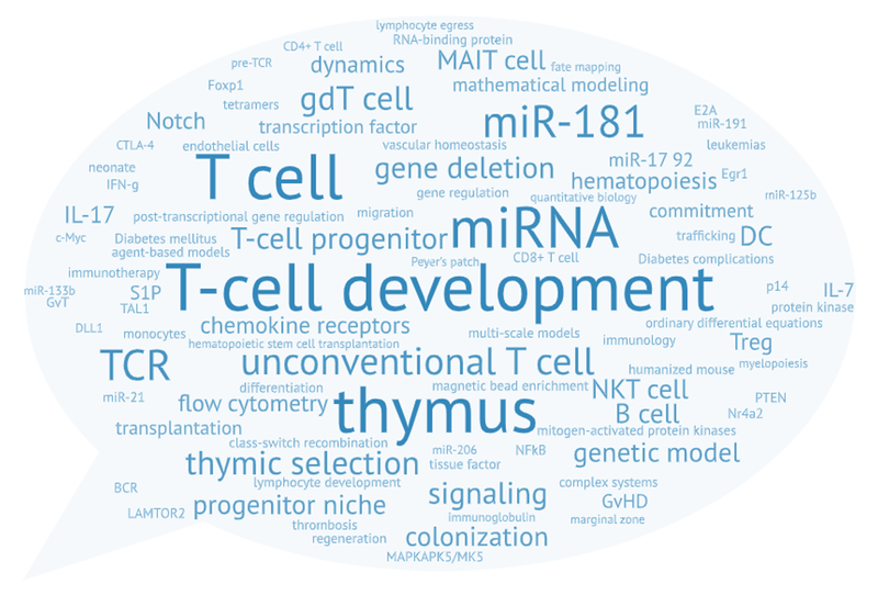 wordcloud