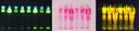 Teaser1.png