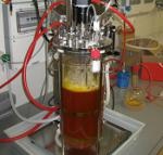 Bioreaktor