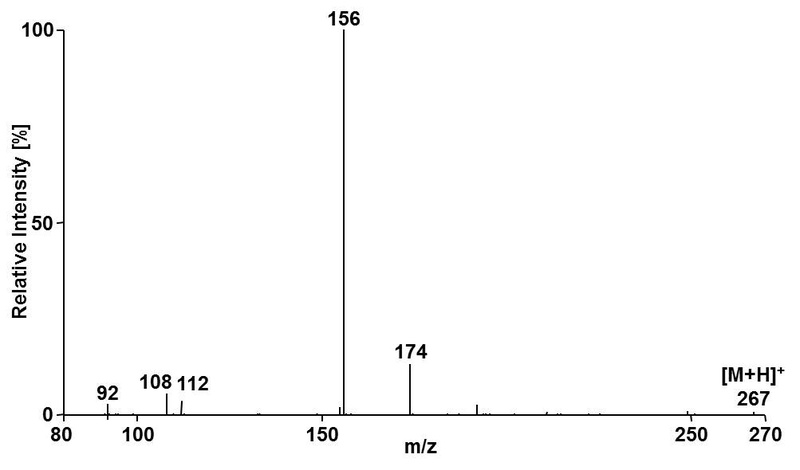 Spektrum_AG_Hamscher