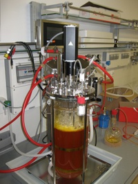bioreaktor