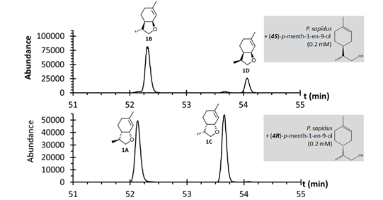 Grafik.jpg