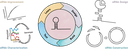 ToC_graphic.png