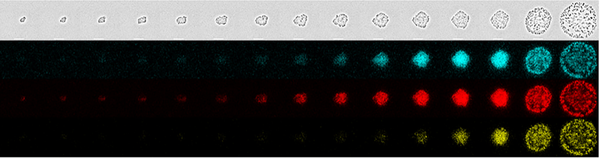 A series of photos (one per hour) of a bacterial colony as it grows