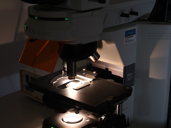 Lab01.JPG
