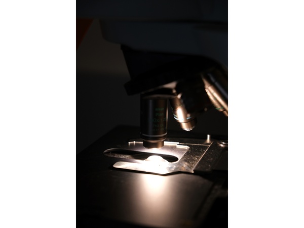 Lab02.jpg