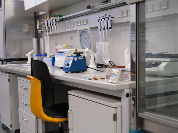 Lab06.JPG