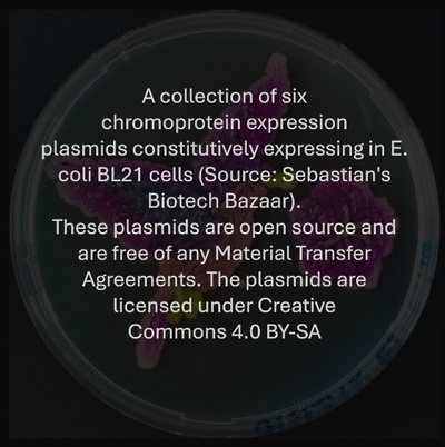 00-Info Bacterial Lab Art.JPG