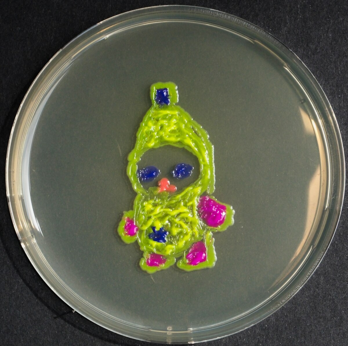 04.jpg
