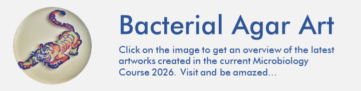 BacterialAgarArt Schmuckgrafik als Link zu Bildersammlung (von Studenten auf Nährmedien mit farbigen Bakterien gemalte Bilder)